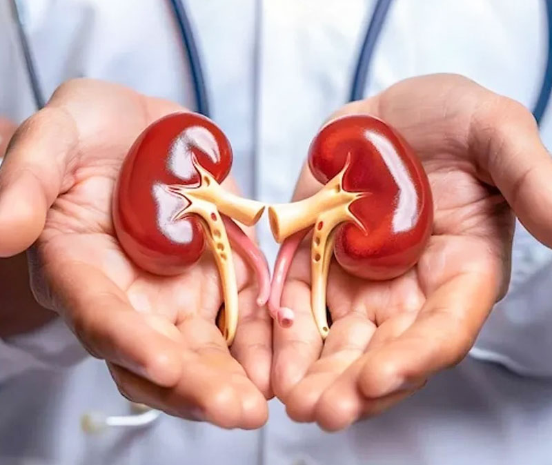 Advanced Kidney Treatment