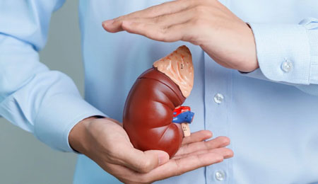 Kidney Transplantation